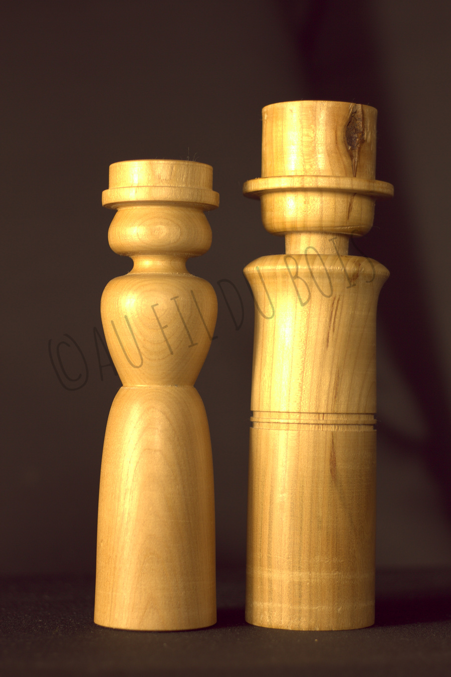 Demoiselle au chapeau de paille et son gentleman haut de forme